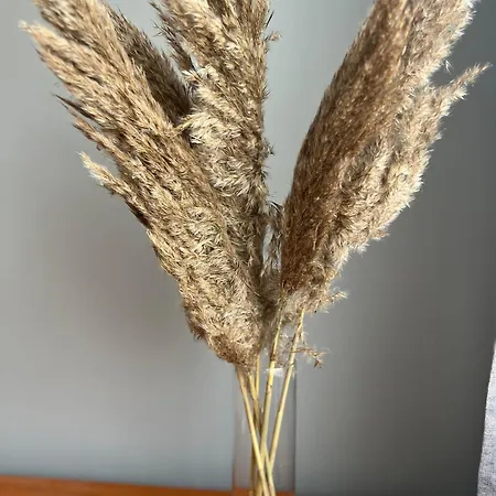 Delux Art Варна